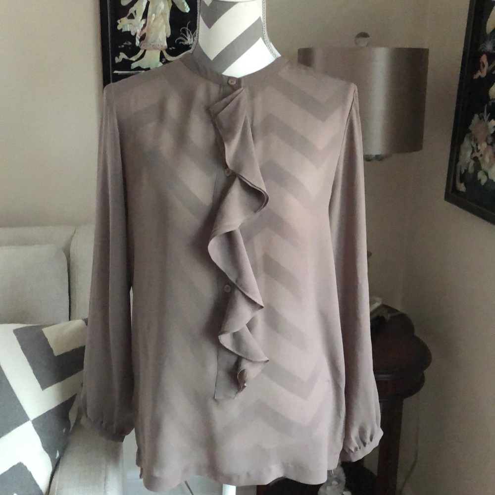 🎉 Ellen Tracy Ruffle Blouse